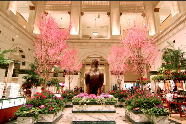 Macy's flower show